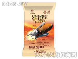 �����������(f��)�Ϸ�-����