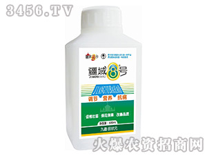 �~���-����8̖-���Ԫ