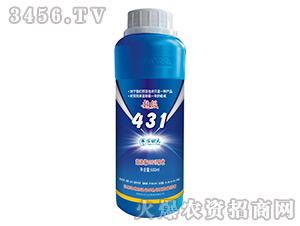 �~���-����(j��)431-���Ԫ