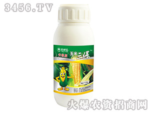 �~���-��������-���Ԫ