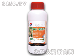 ���r�������`����-������-�L�p