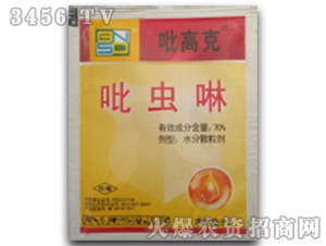 ���x�����x��-���߿�-���r(n��ng)˼�_