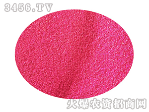 ����(j��)�o���w����-�����r(n��ng)ˎ