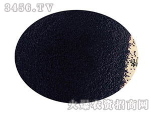 ��ɫ�w����-�����r(n��ng)ˎ