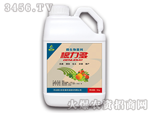 ΢���������Ͱ�b��-������