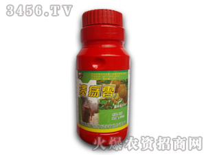 �J���Ҍ�(zhu��n)���{(di��o)��(ji��)��-������-�W��˹