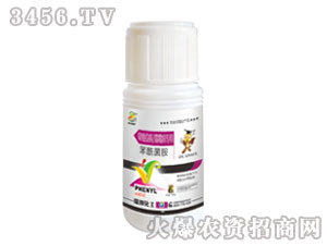 �����߲�˪ù����(zhu��n)�Ú�����-��������-�������