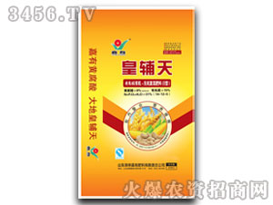 �S�����ЙC(j��)�o�C(j��)��(f��)���14-12-5-���o��-����