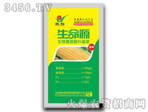 ���׌����S�����~���-����Դ-����