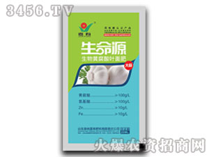 �����S�����~���-����Դ-����