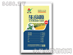 ������S�����~���-����Դ-����