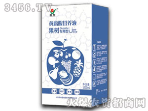 ���䌣���S����I�B(y��ng)Һ-����