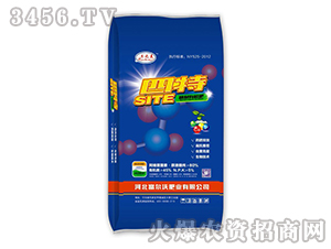 �����ЙC(j��)��-����-������