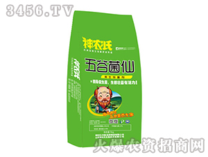 ΢�������-��Ⱦ���-���r(n��ng)��