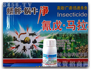 20%���졤�R���ɣ����b��-΁ţ��һ���-ϣ����