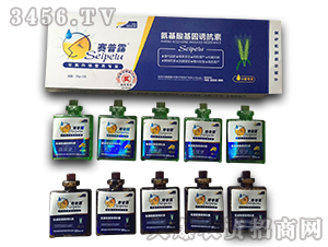 С�������~���-����������T����-ِ��¶-�����r(n��ng)ˎ