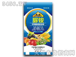 �����������\-���ϴ�-���W����