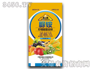 �����������\���S����-���ϴ�-���W����