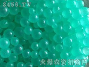 ���ܿ�ጷ�19-21-6-��(r��n)�ﱣ-���(y��ng) 