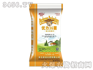 ΢�������-��(y��u)��36��-�Մ�(chu��ng)�Ƽ�