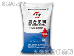 �ߝ��������͏�(f��)�Ϸ���27-12-13-�ɻ�