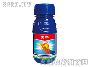 ��ţ���݄�-�G��