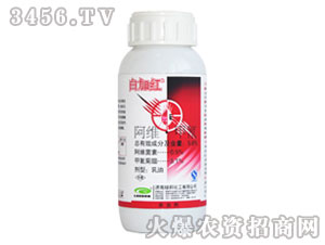 ���S������-�׼Ӽt-�G��