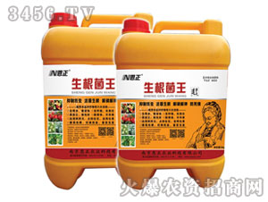 ����������Ͱ�b��-����ĸ-����