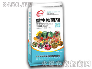 ΢�������40kg-���S��-��(r��n)���r(n��ng)�I(y��)