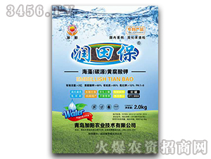 ���壨̼Դ���S�����-���ﱣ-���