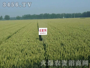 ɽ�r�C��2̖-С��-�|�Ѻ�