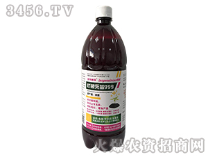 ��������999-�ο�ֲ��