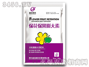 �������������-ʢ���߿�