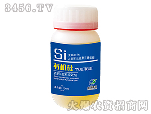 有機(jī)硅-盛潤高科