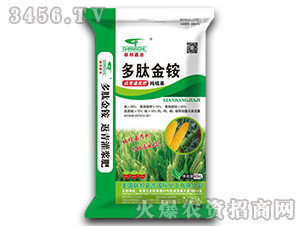 ���Ľ��@������{��-(li��n)��μ�