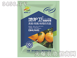 ���ٌ��Ú�����-���o(h��)�l(w��i)-����