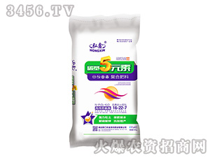 ��(f��)�Ϸ���16-22-7-̼��5Ԫ��-���S