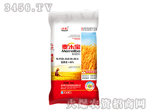 ��(f��)�����20-20-5-������-���S