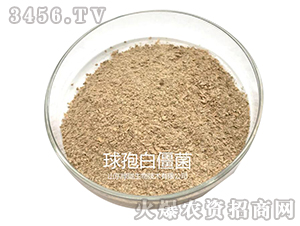 �׽���-�G�]����