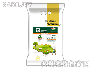 ����Ԫ��ˮ�ܷʣ��ߵ��ͣ�-�Ԡ��G��