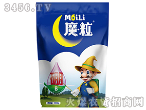 ħ�����~���-ħ���ʘI(y��)