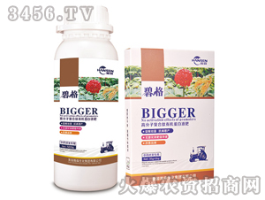 �в�ˎ���ø߷��ӏ�(f��)�����ЙC(j��)����Һ��-�̸�-�ɭ