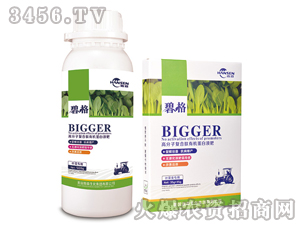 �~�ˌ��ø߷��ӏ�(f��)�����ЙC(j��)����Һ��-�̸�-�ɭ