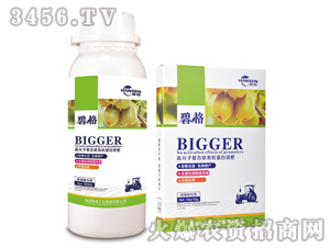 �J���Ҍ��ø߷��ӏ�(f��)�����ЙC(j��)����Һ��-�̸�-�ɭ