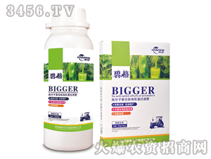 �������ø߷��ӏ�(f��)�����ЙC(j��)����Һ��-�̸�-�ɭ