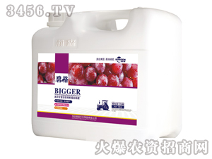 �������ӌ��ø߷��ӏ�(f��)�����ЙC(j��)����Һ�ʣ����b��-�̸�-�ɭ