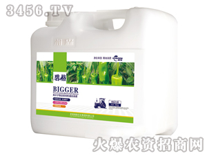 �������ø߷��ӏ�(f��)�����ЙC(j��)����Һ�ʣ����b��-�̸�-�ɭ