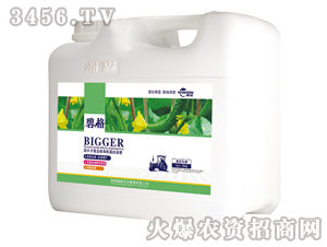 �S�ό��ø߷��ӏ�(f��)�����ЙC(j��)����Һ�ʣ����b��-�̸�-�ɭ