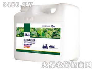 ��ɣ���ø߷��ӏ�(f��)�����ЙC(j��)����Һ�ʣ����b��-�̸�-�ɭ