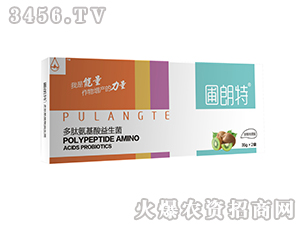 �J��������-���İ�����������-������